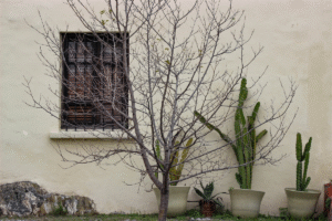 Read more about the article Minimalism: Living with Less, Feeling More