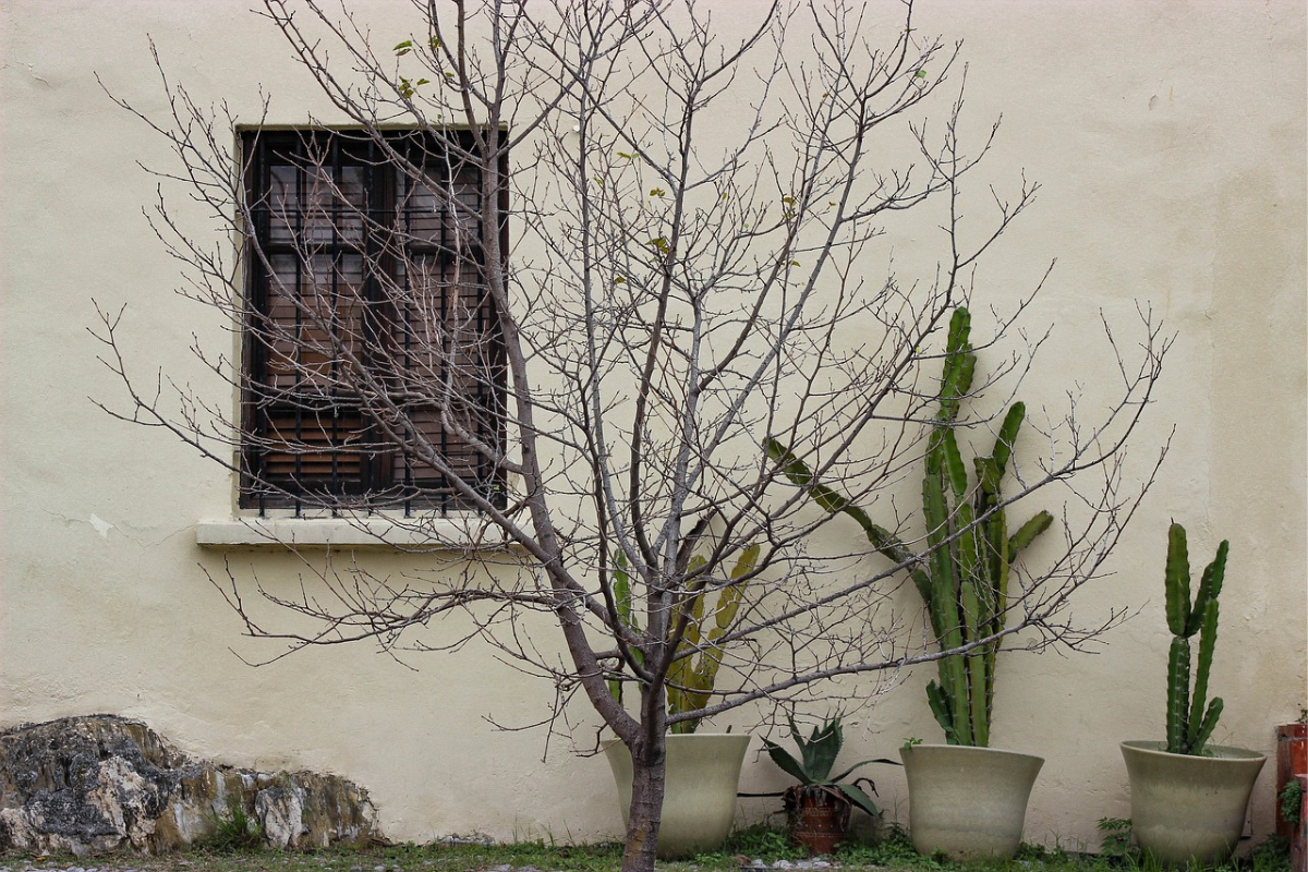 Read more about the article Minimalism: Living with Less, Feeling More