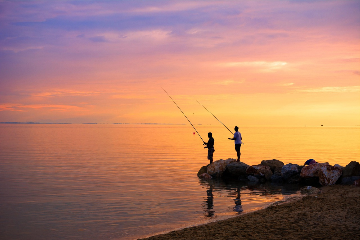 Read more about the article The Brevity of Life and the Illusion of Social Media Success: Learning to Truly Live through Meditation
